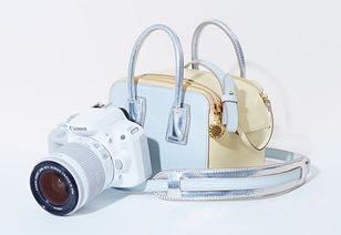 stella mccartney x canon限量发售 文艺青年最爱的相机包